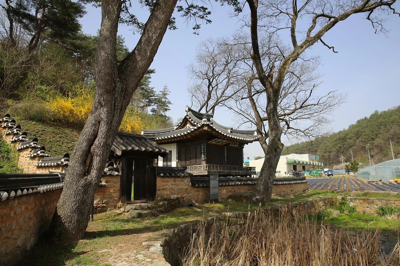 MG0A0112_новый размер.JPG