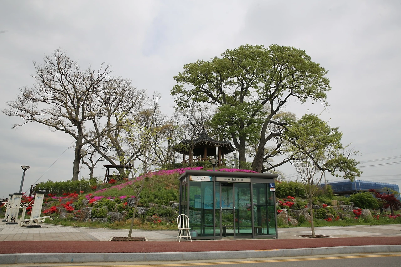 MG0A0516_новый размер.JPG