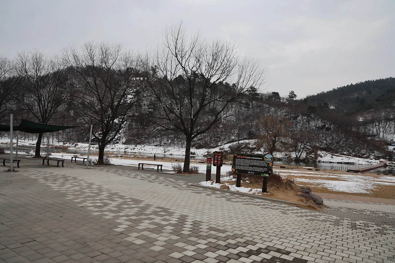 0R5A7467_новый размер.JPG