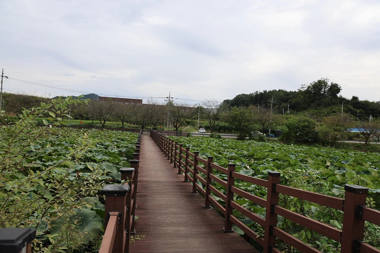 0R5A7756_новый размер.JPG