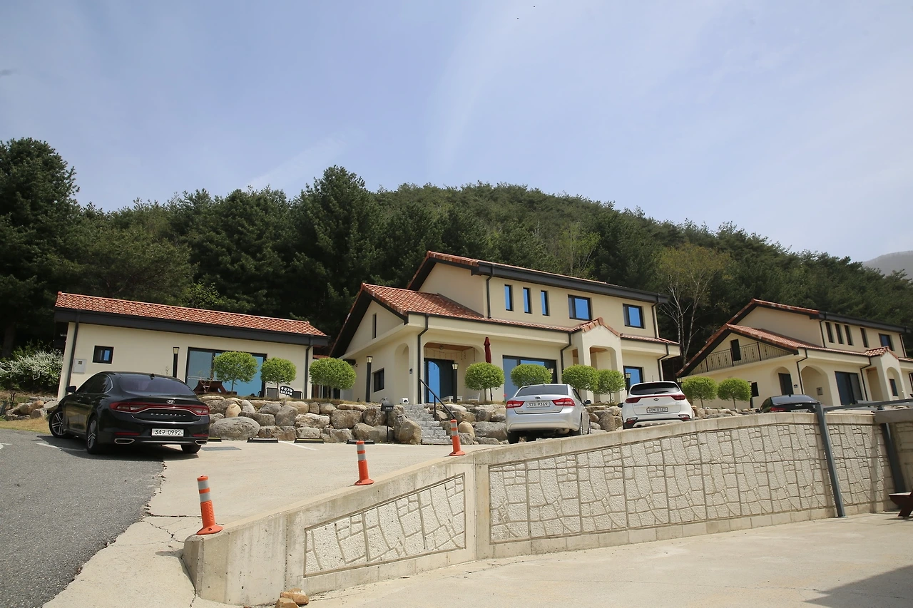 MG0A0163_новый размер.JPG