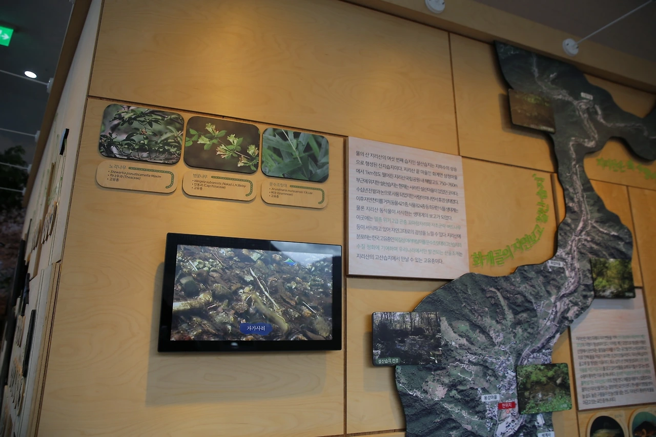 MG0A7221_новый размер.JPG