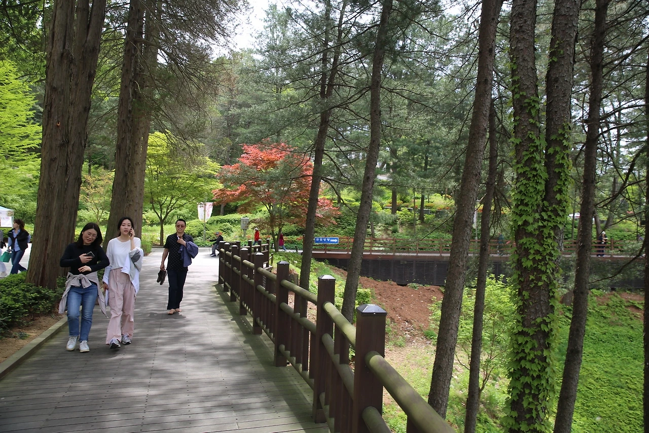 MG0A1102_новый размер.JPG