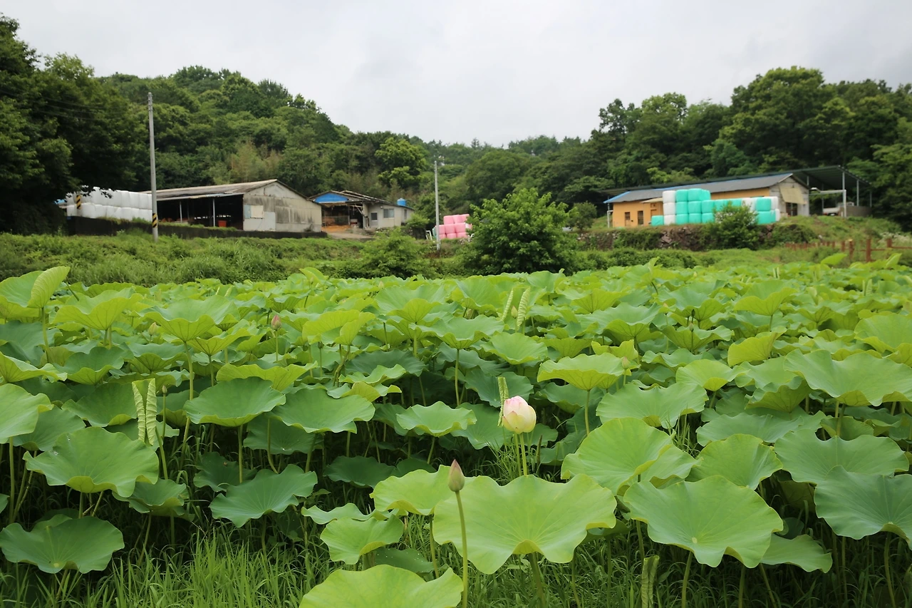 MG0A3674_новый размер.JPG