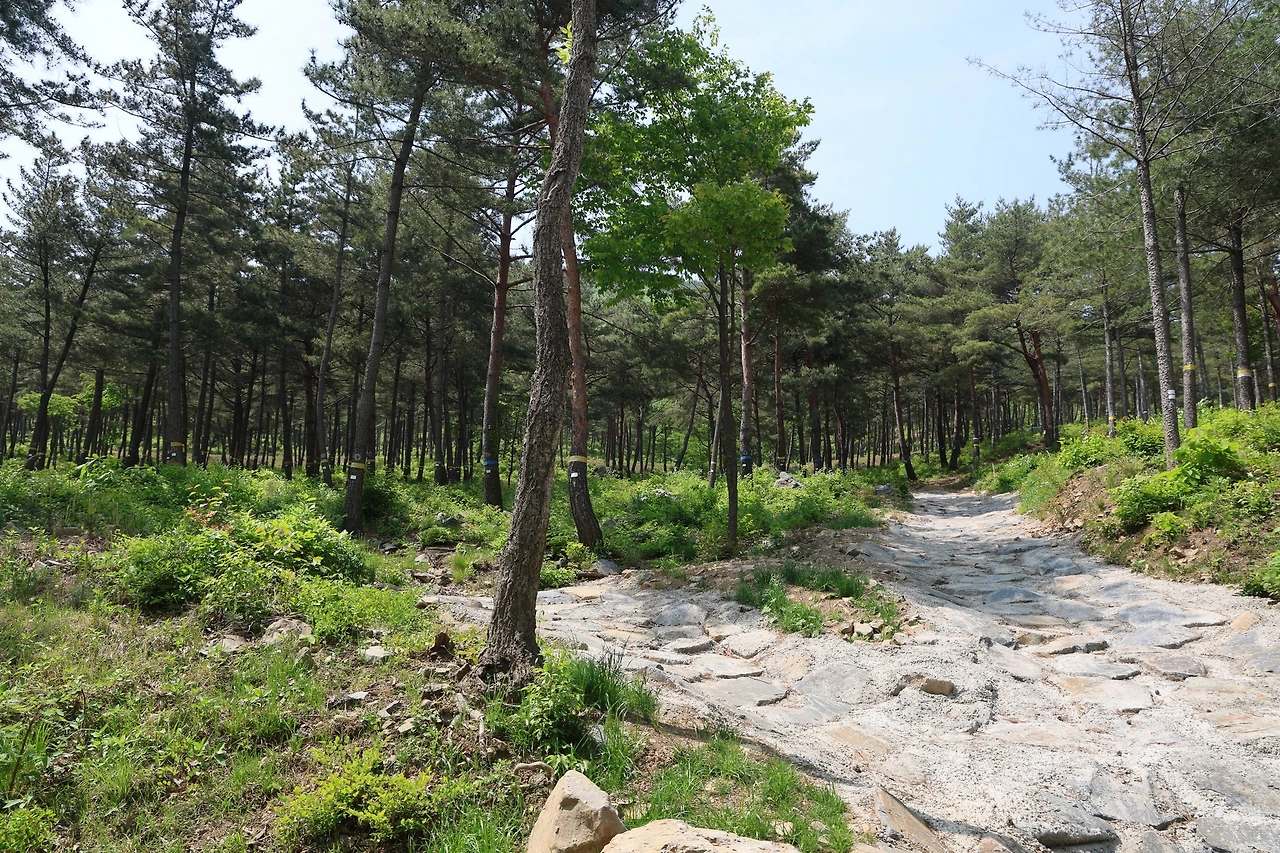 0R5A0402_новый размер.JPG