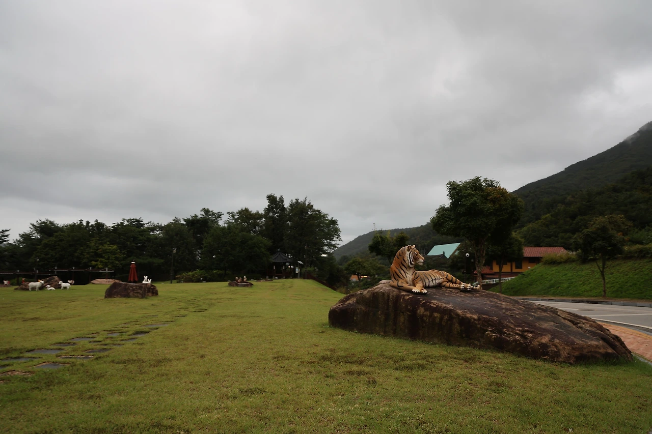 0R5A9090_новый размер.JPG