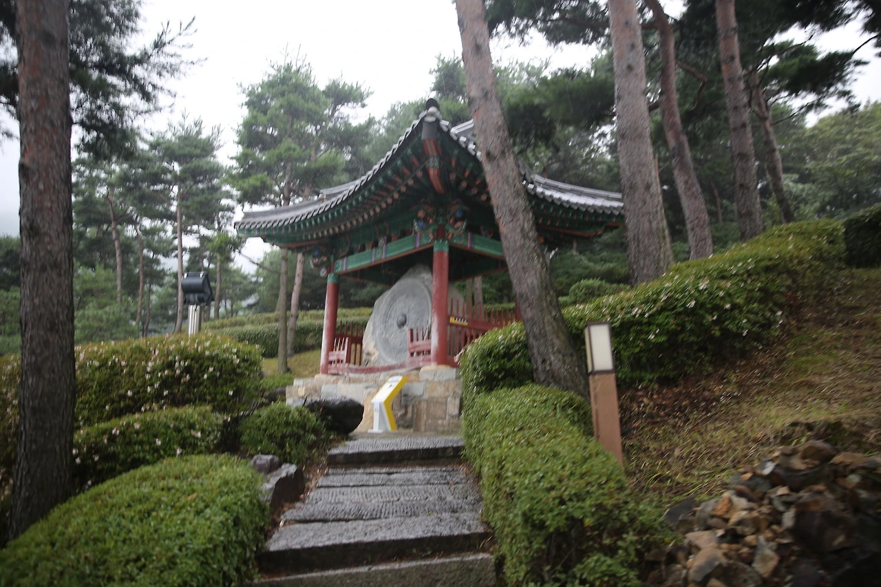 MG0A3223_новый размер.JPG