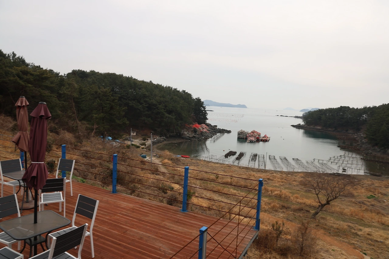 0R5A2315_новый размер.JPG