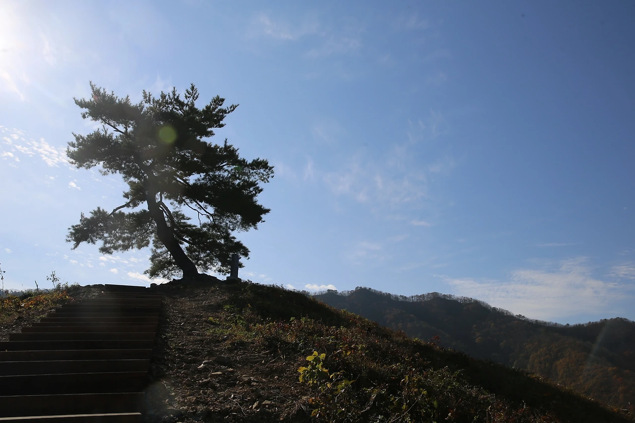 MG0A9990_новый размер.JPG