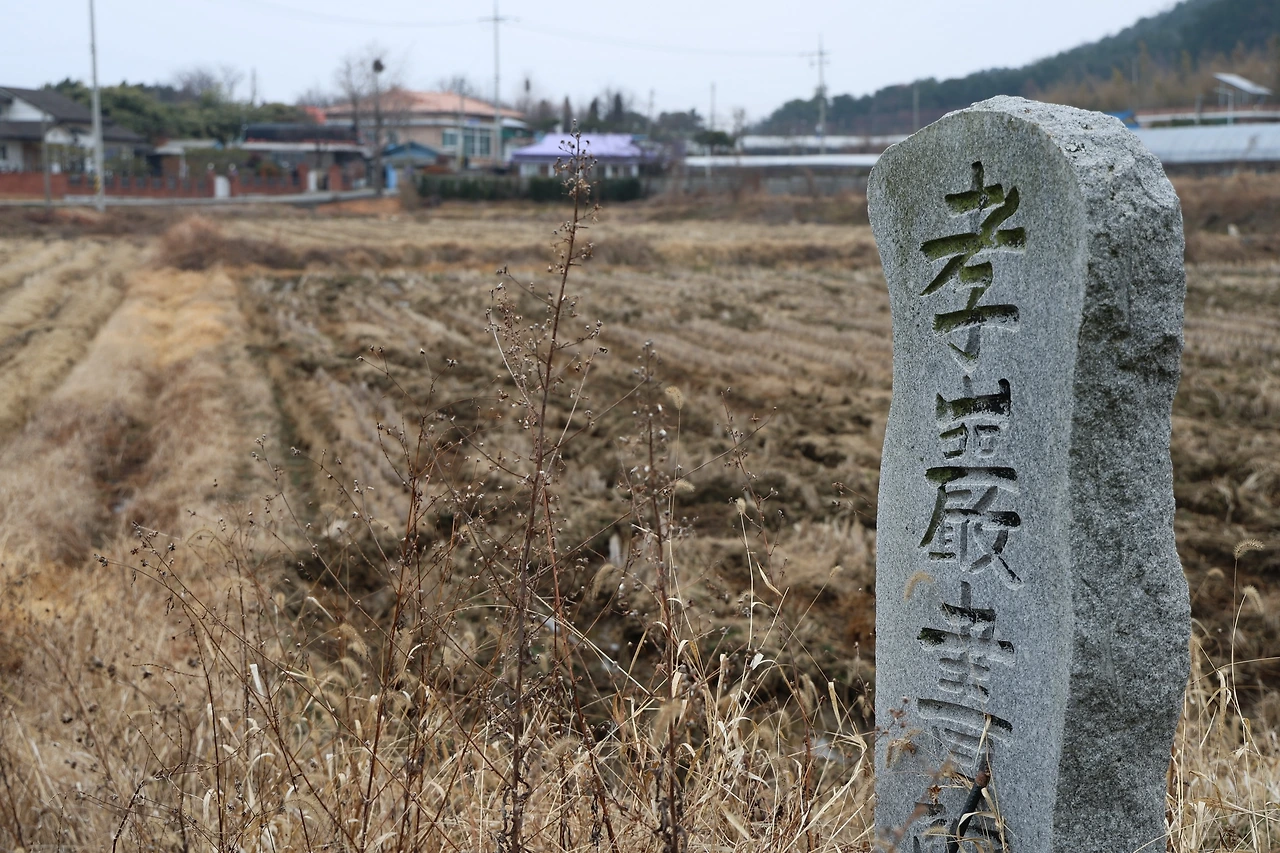 0R5A6929_новый размер.JPG