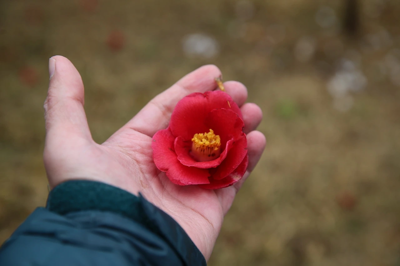 MG0A6742_новый размер.JPG