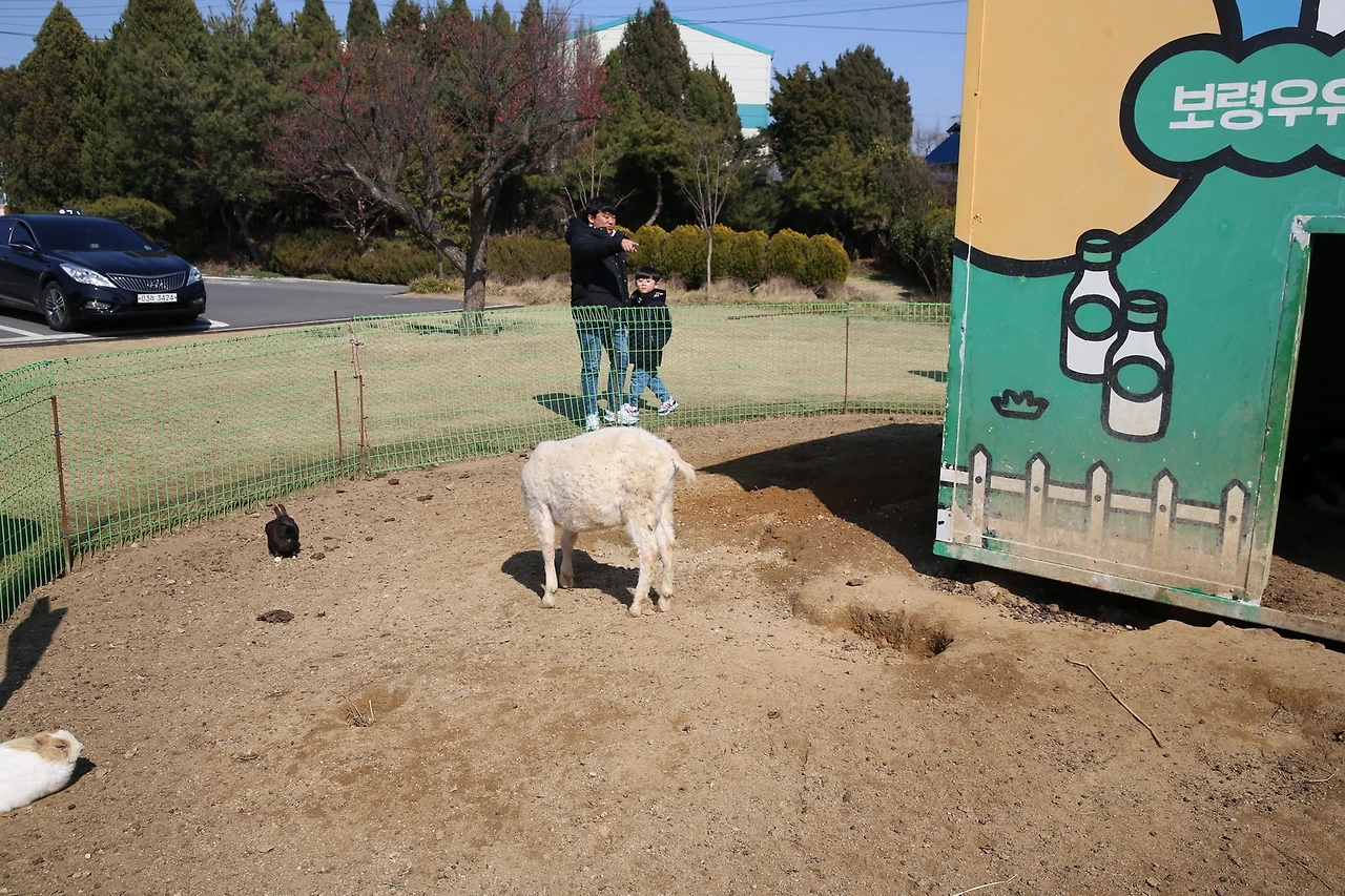 MG0A3421_новый размер.JPG