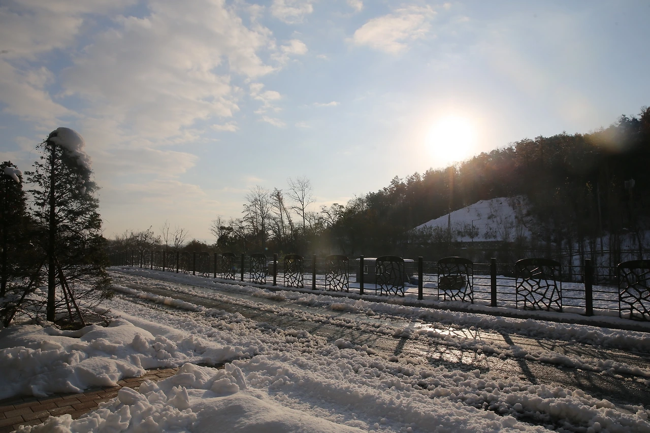 MG0A2207_новый размер.JPG