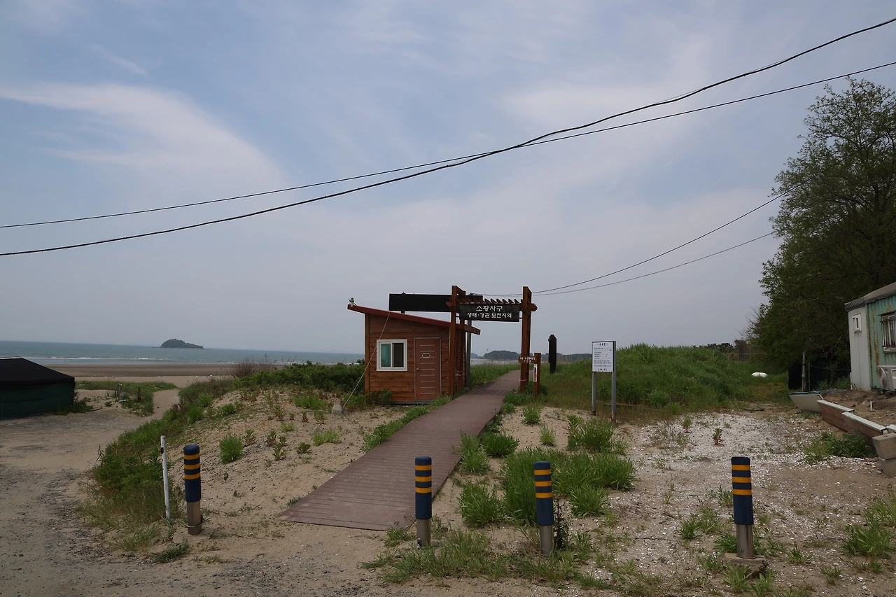 0R5A0376_новый размер.JPG