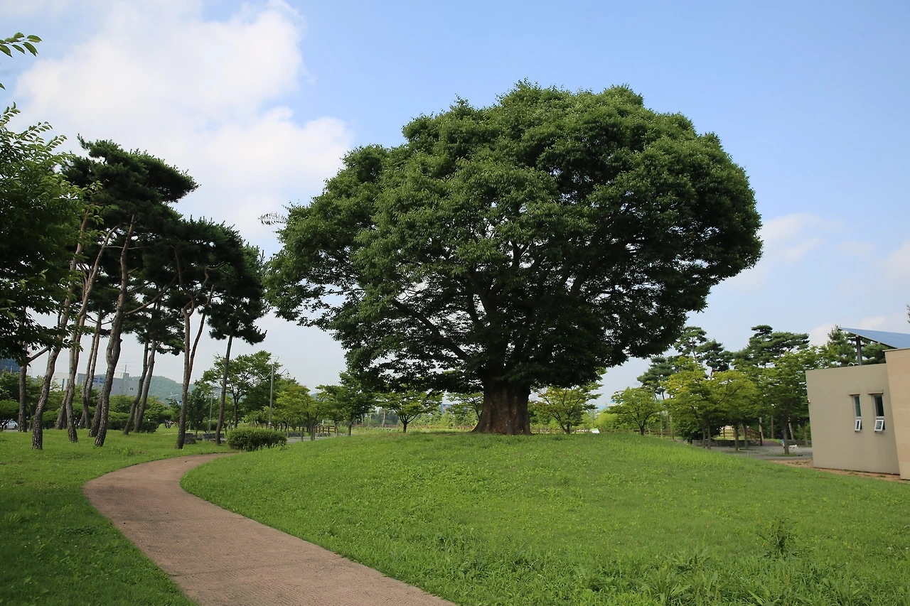 MG0A4030_новый размер.JPG