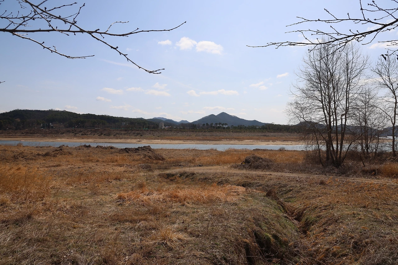 0R5A2771_новый размер.JPG