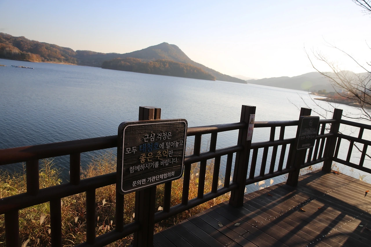 MG0A1385_новый размер.JPG