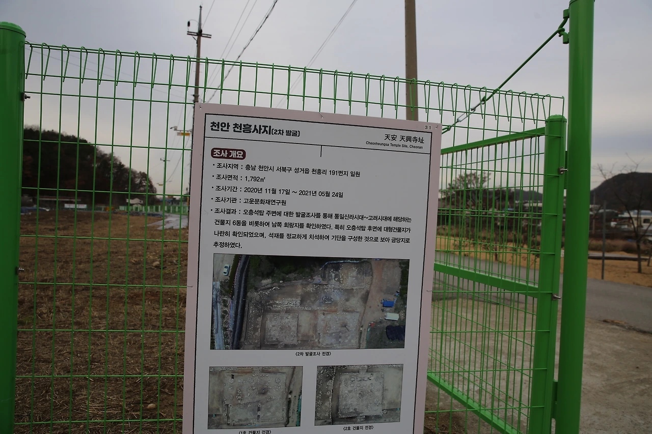 MG0A4443_новый размер.JPG