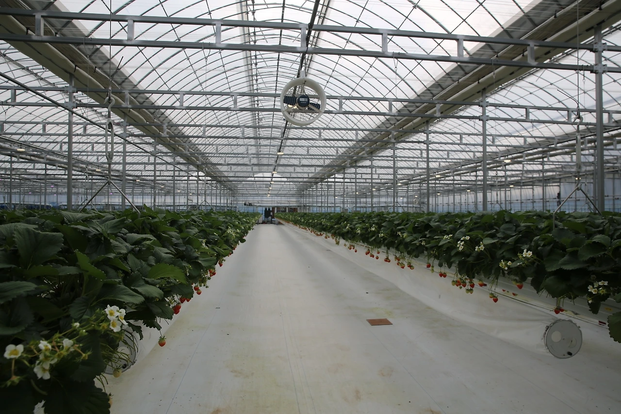 MG0A5290_новый размер.JPG