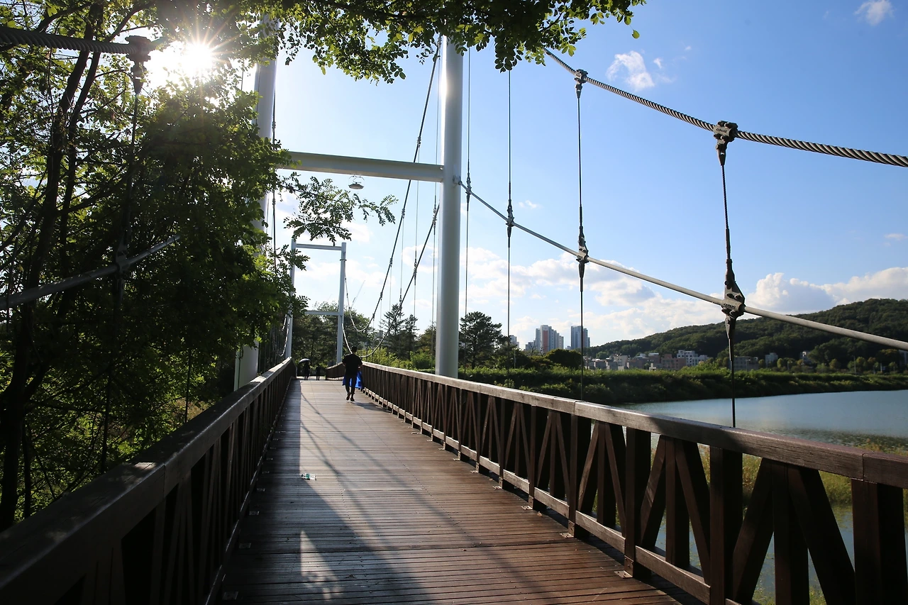 MG0A1976_новый размер.JPG