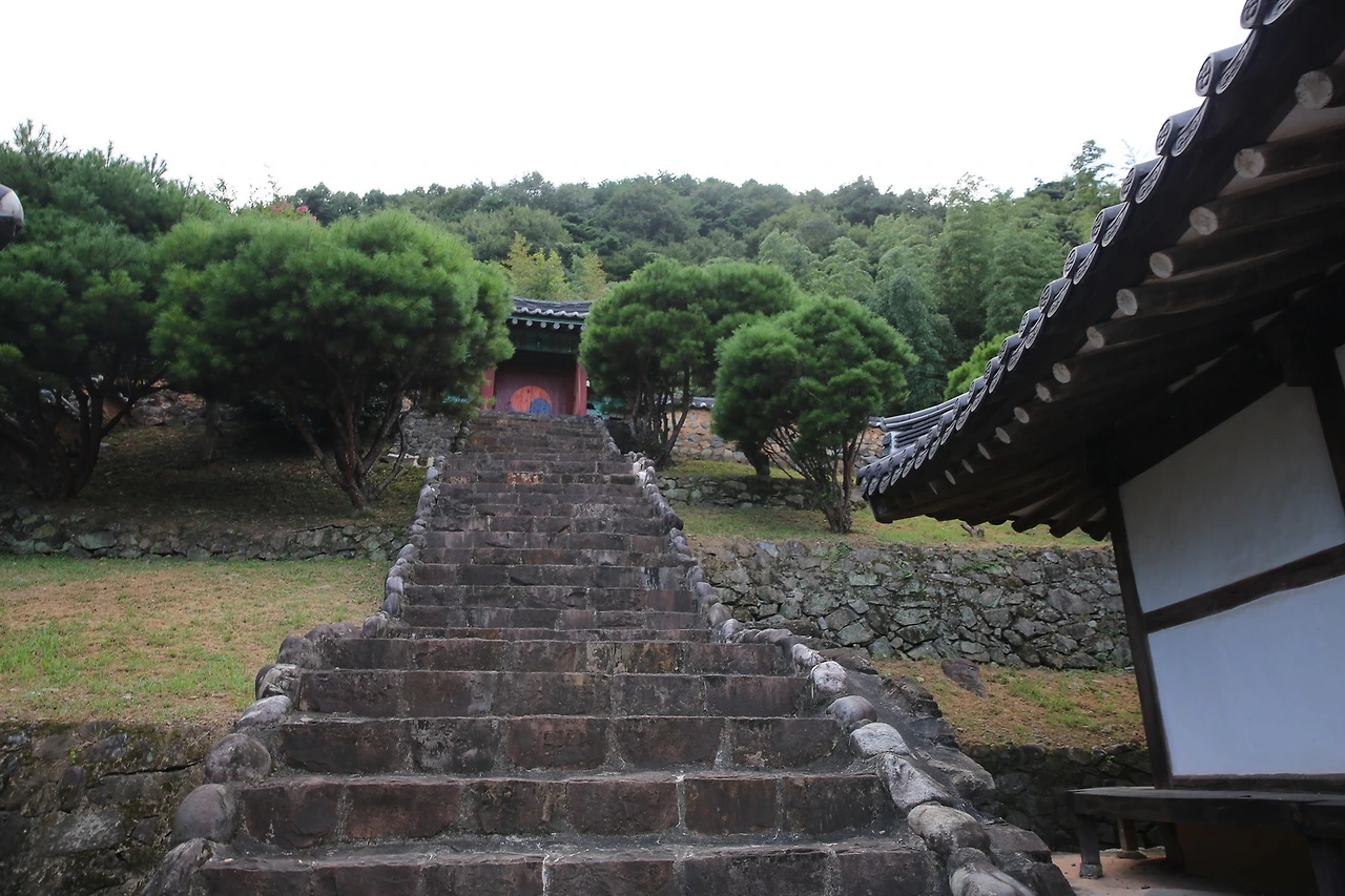 MG0A8138_новый размер.JPG