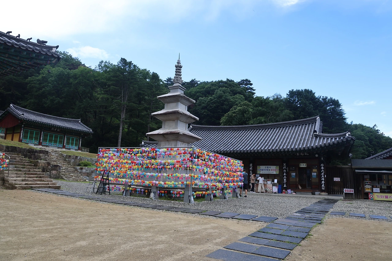 0R5A7613_новый размер.JPG