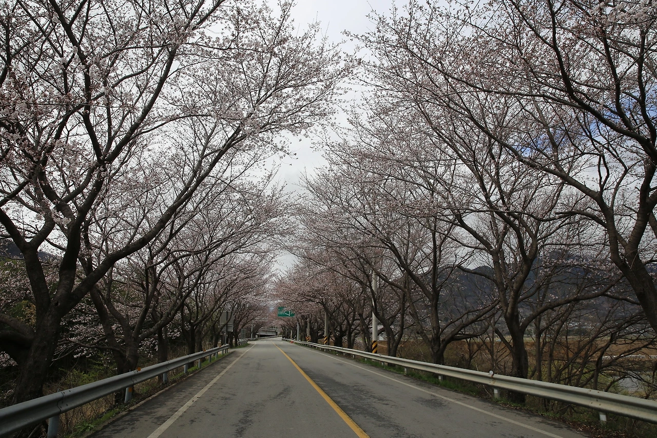 MG0A7125_новый размер.JPG