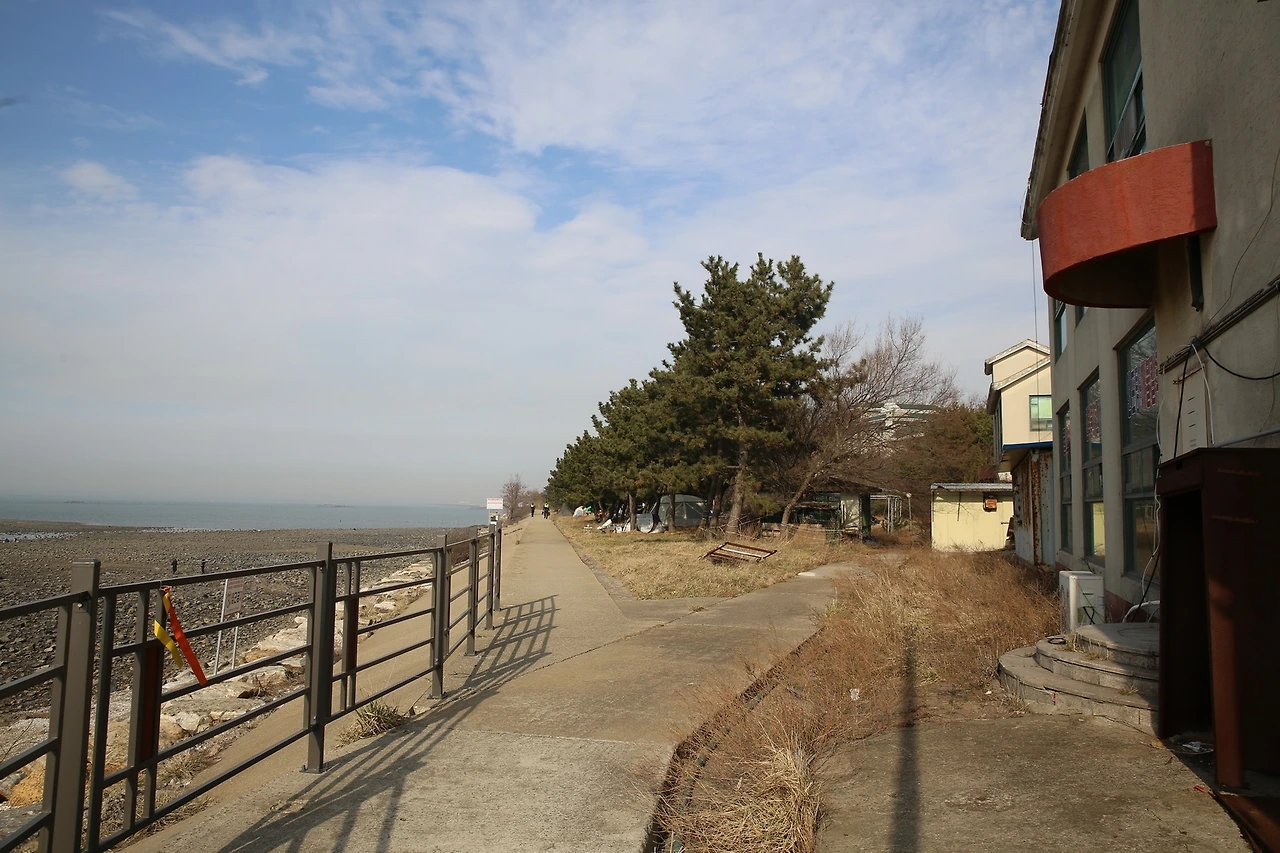 MG0A4526_новый размер.JPG