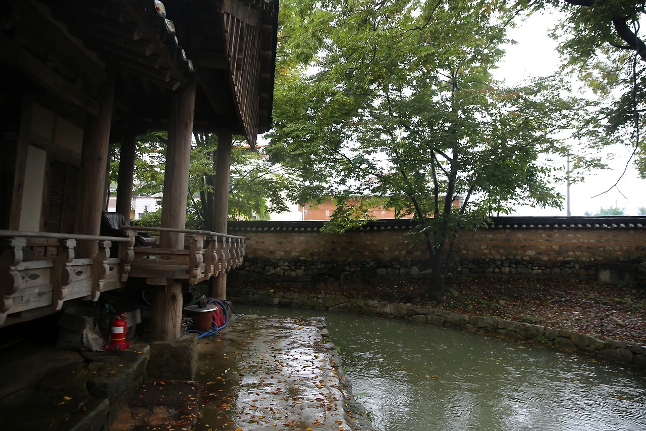 MG0A5971_новый размер.JPG