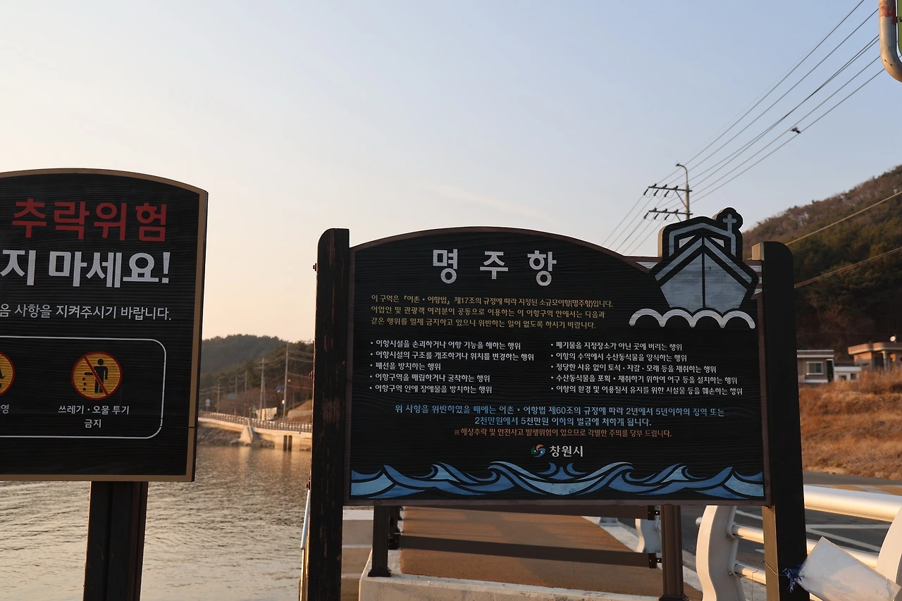 0R5A2059_новый размер.JPG