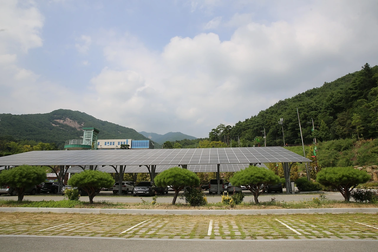 MG0A7417_новый размер.JPG