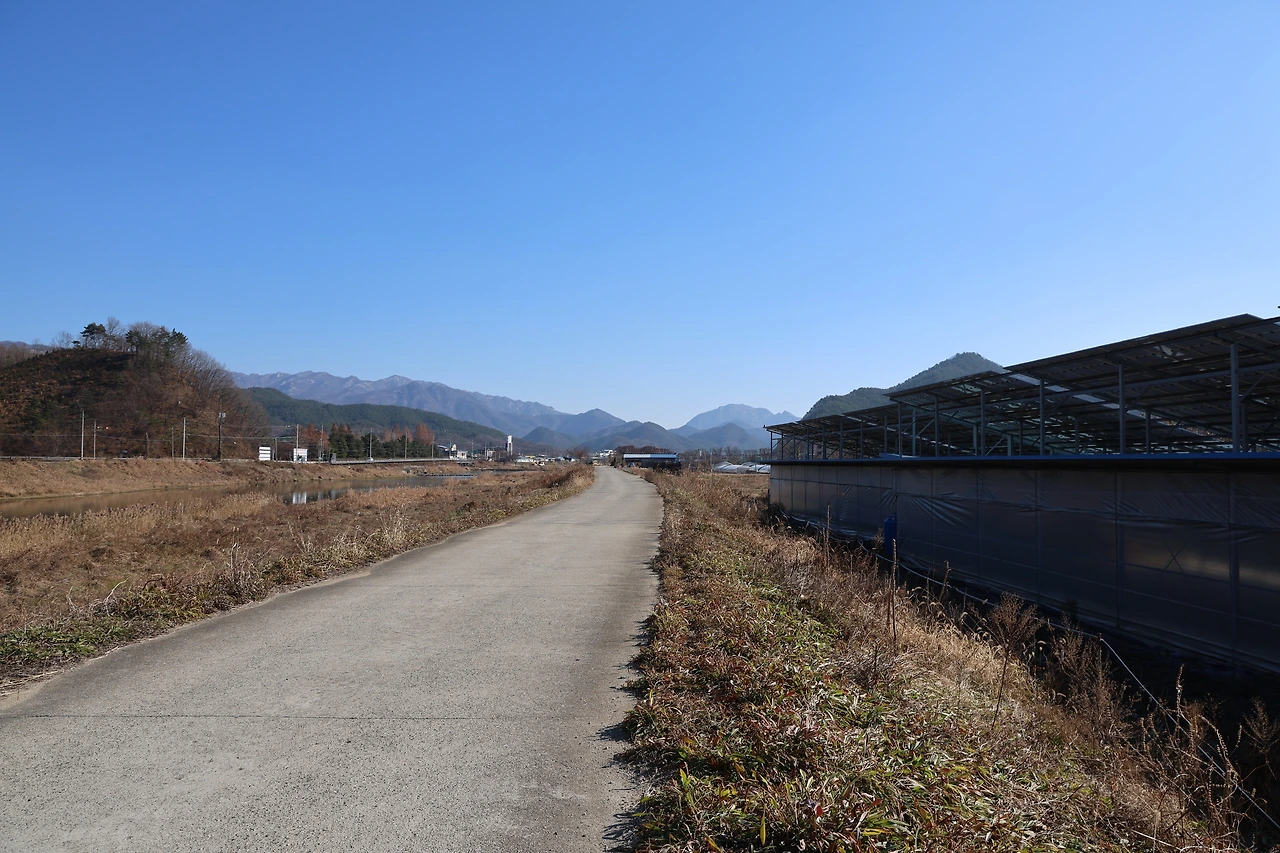 0R5A5483_новый размер.JPG