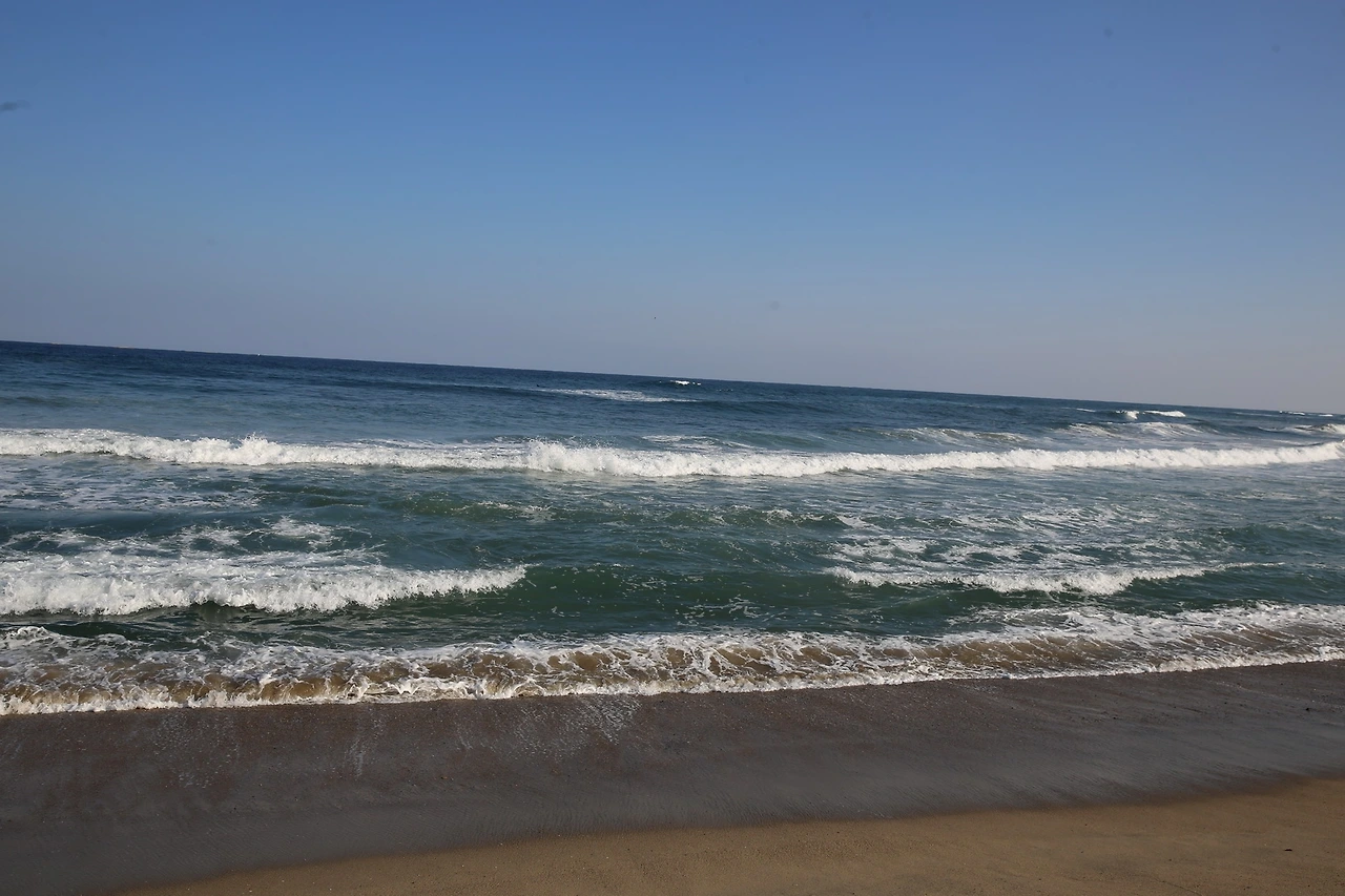 MG0A6559_новый размер.JPG