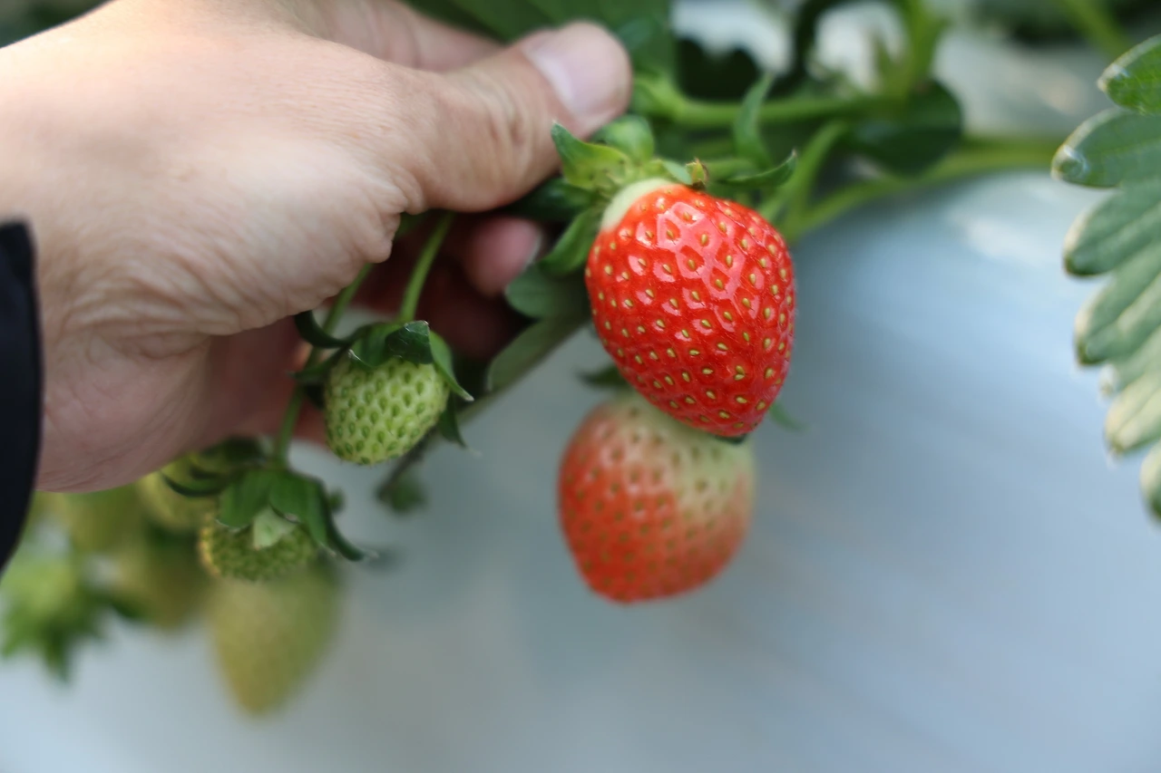 0R5A5529_новый размер.JPG