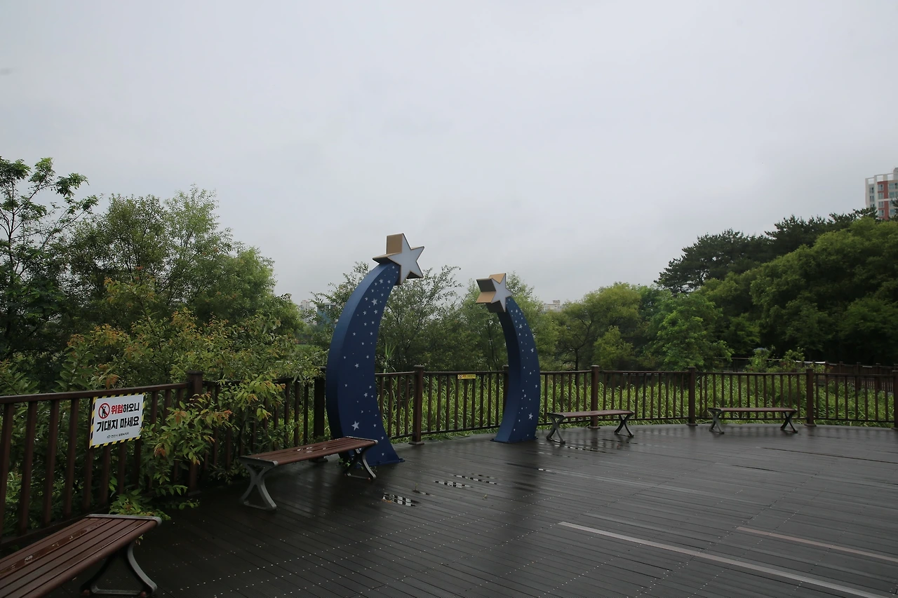 MG0A2468_новый размер.JPG