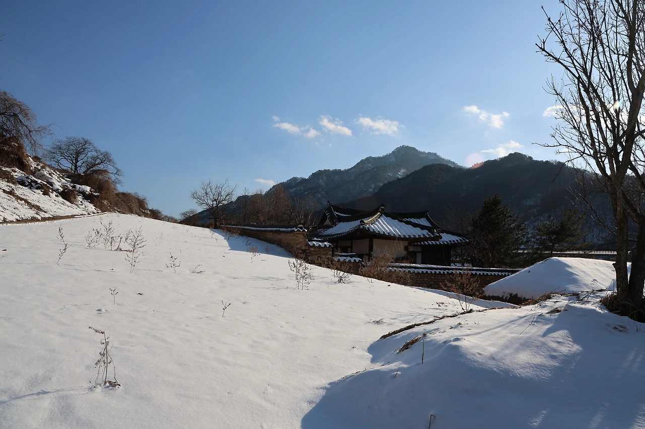 0R5A8164_новый размер.JPG