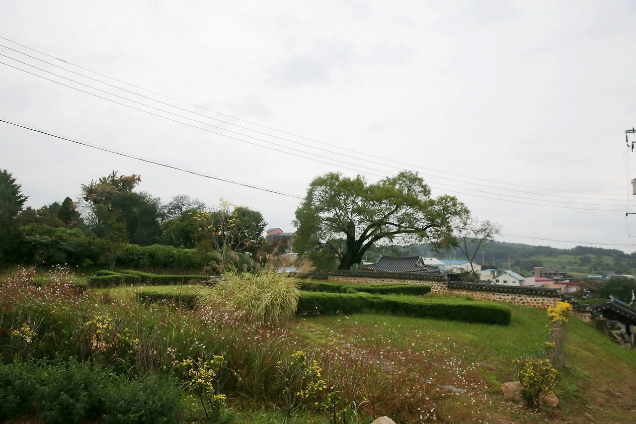 MG0A5107_новый размер_exposure.JPG