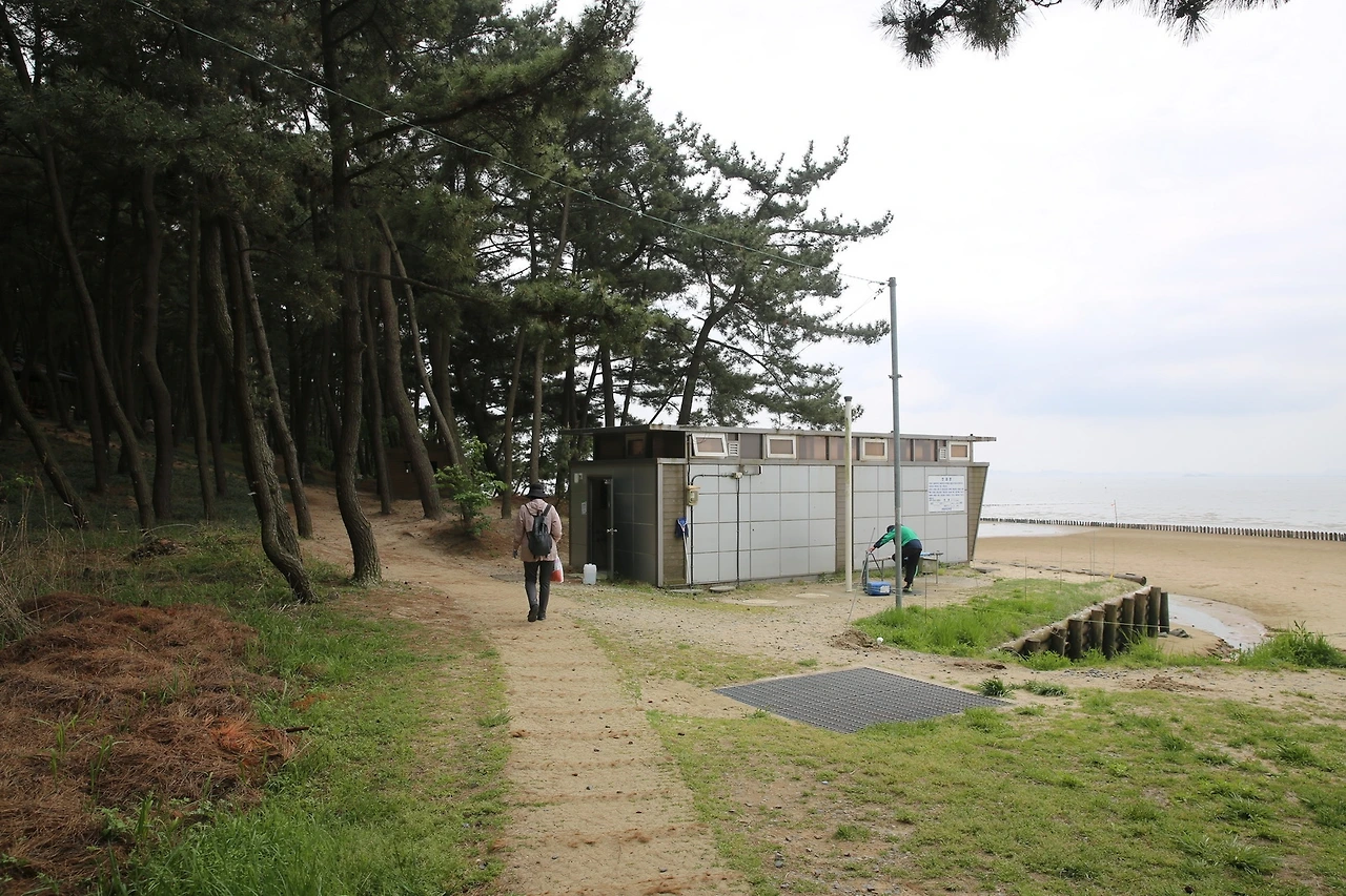 MG0A0549_новый размер.JPG