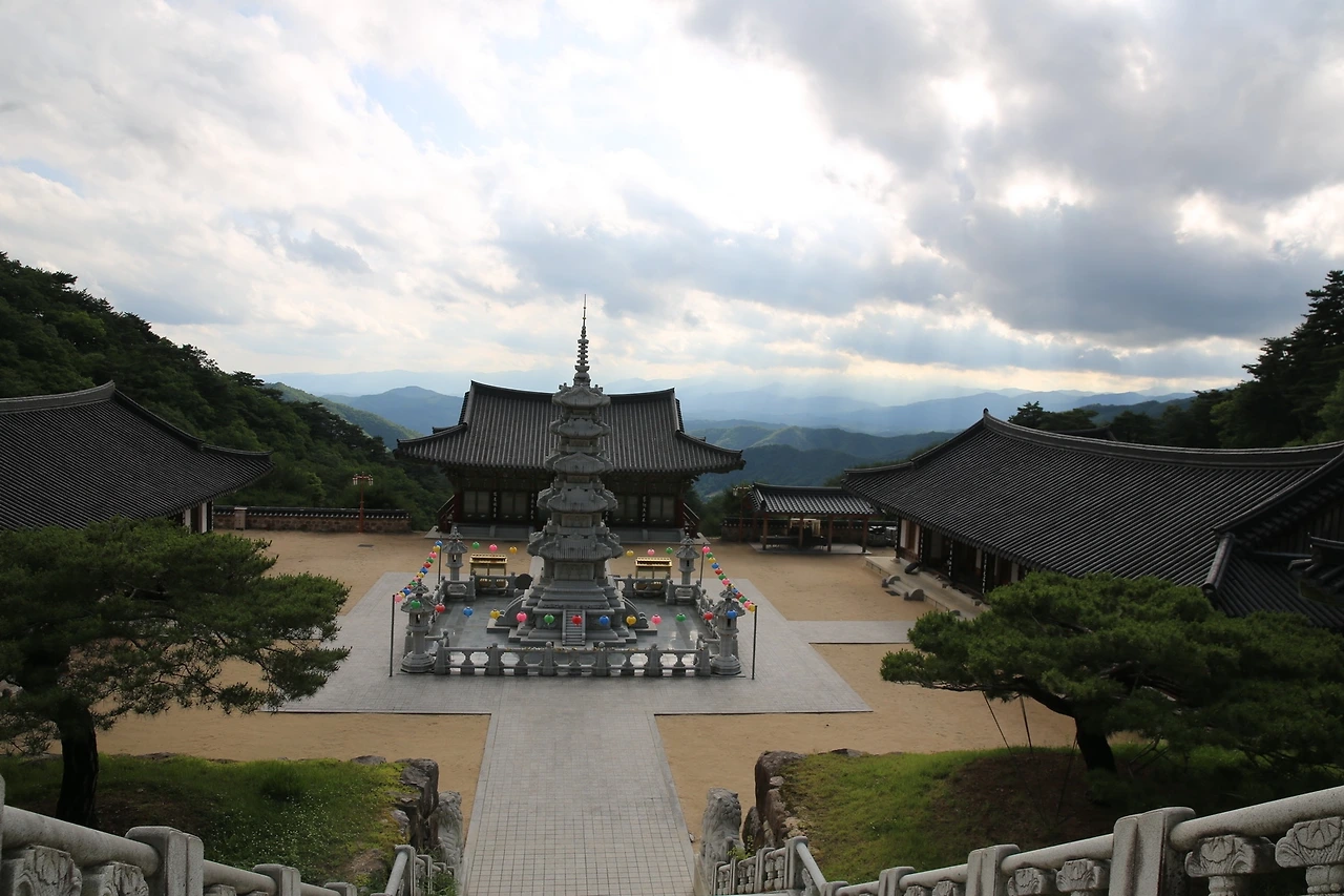 MG0A0510_новый размер.JPG