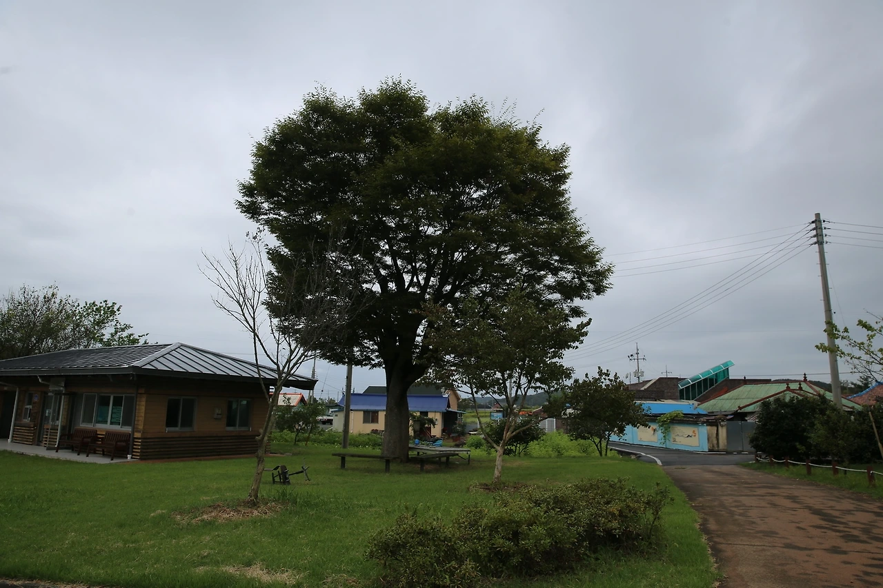 MG0A2467_новый размер.JPG