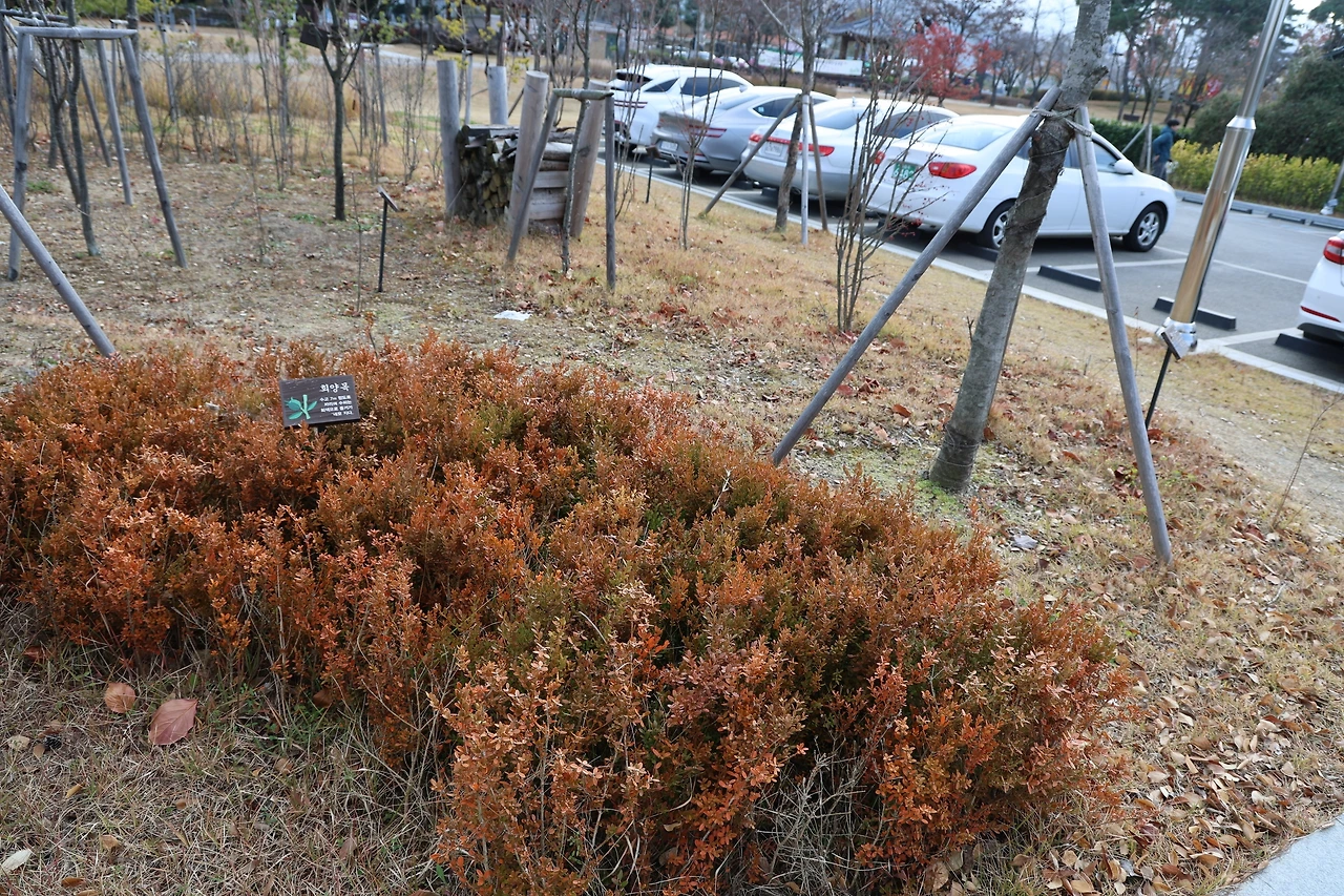 0R5A3203_новый размер.JPG