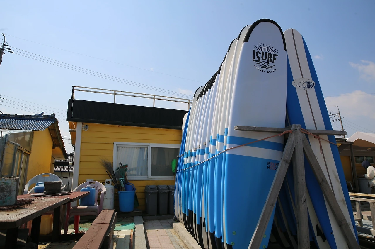 MG0A5277_новый размер.JPG