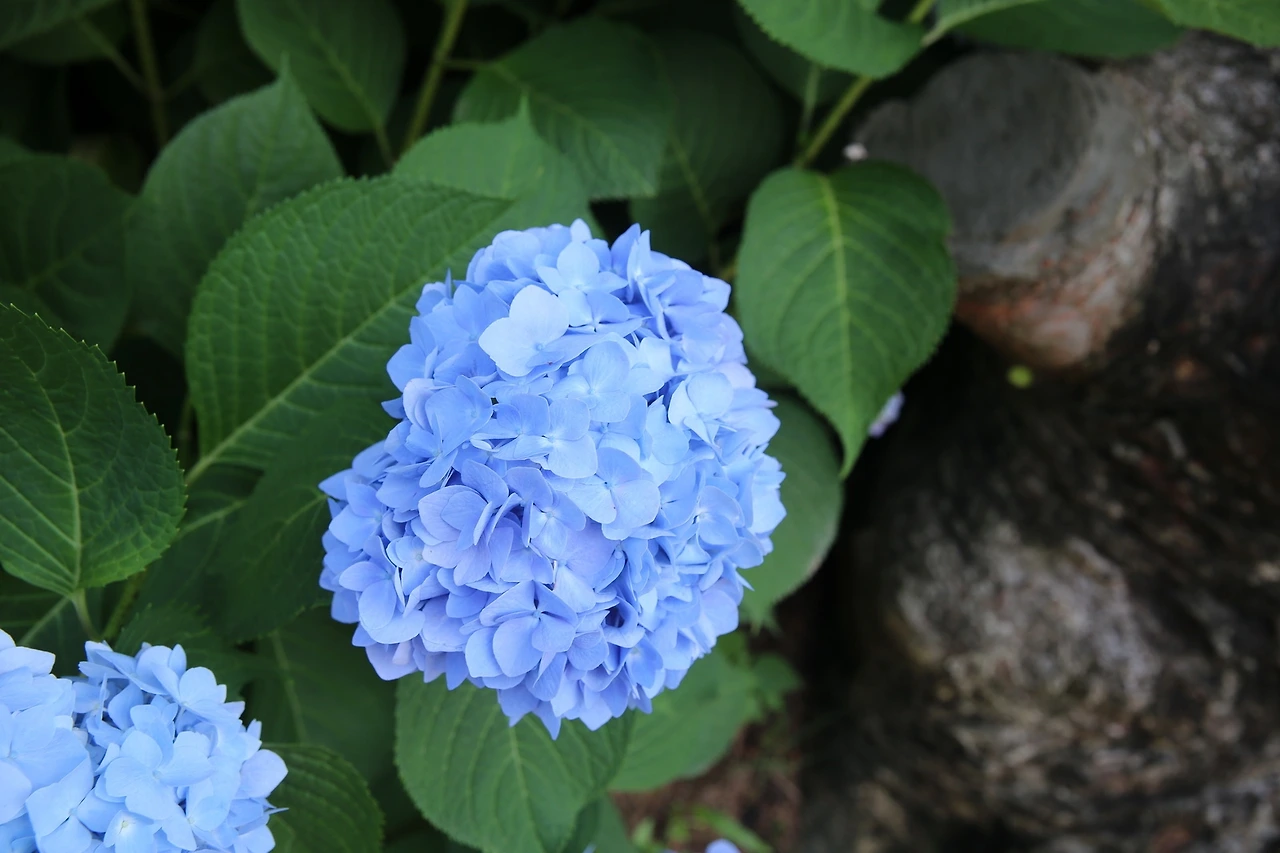 MG0A3109_новый размер.JPG