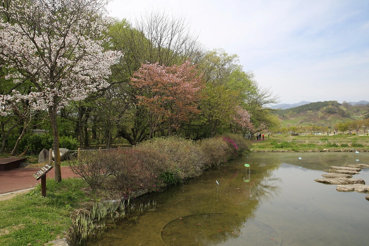 MG0A9188_новый размер.JPG