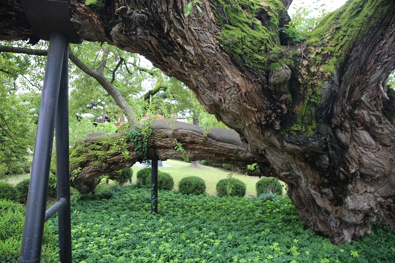 MG0A3311_новый размер.JPG