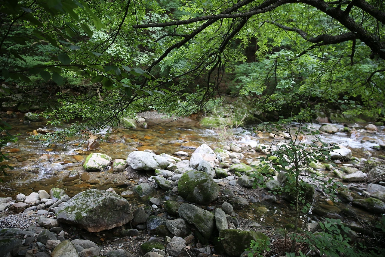 MG0A5037_новый размер.JPG