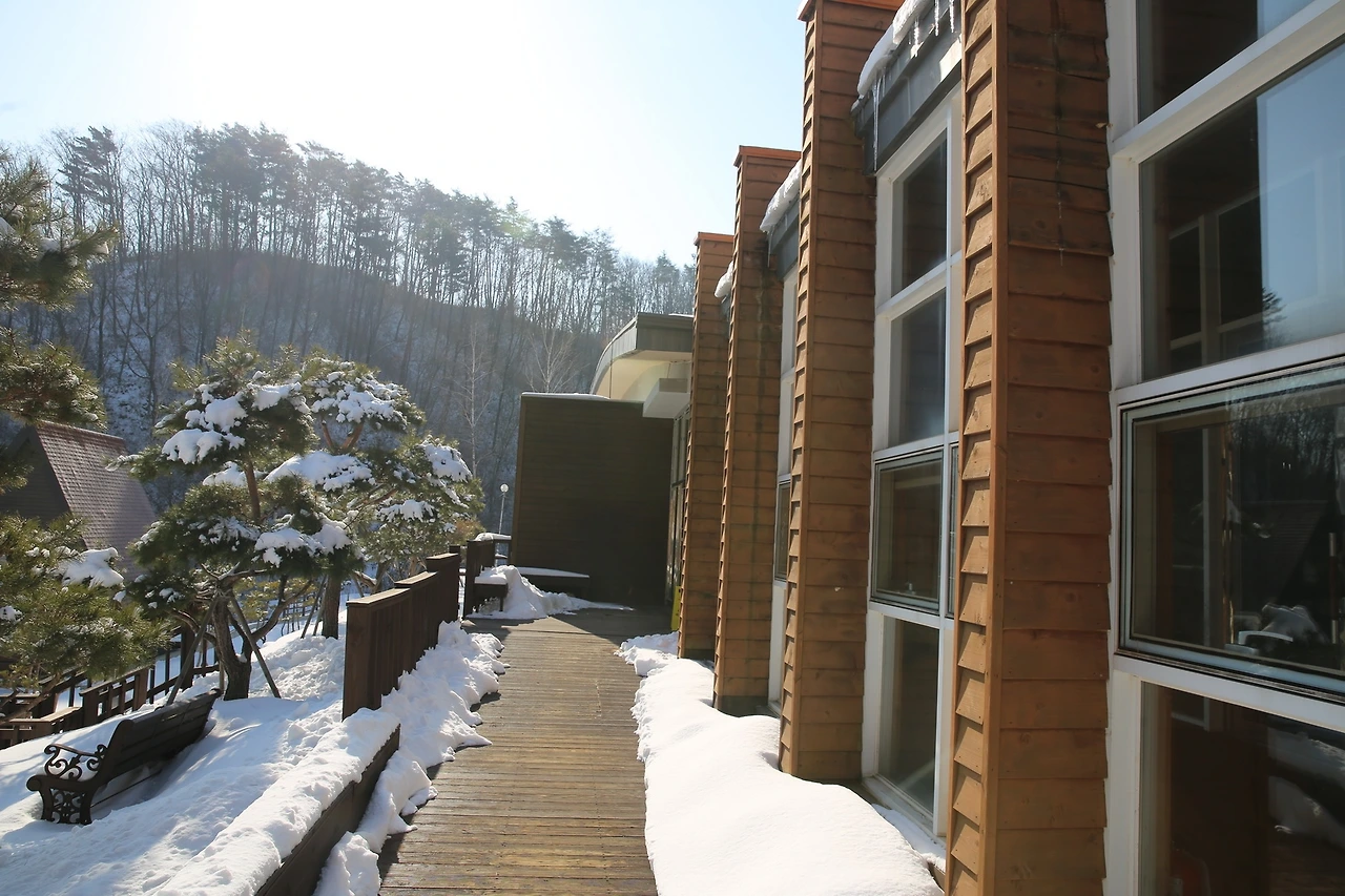 MG0A5036_новый размер.JPG