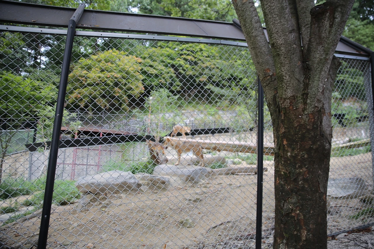 MG0A9609_новый размер.JPG