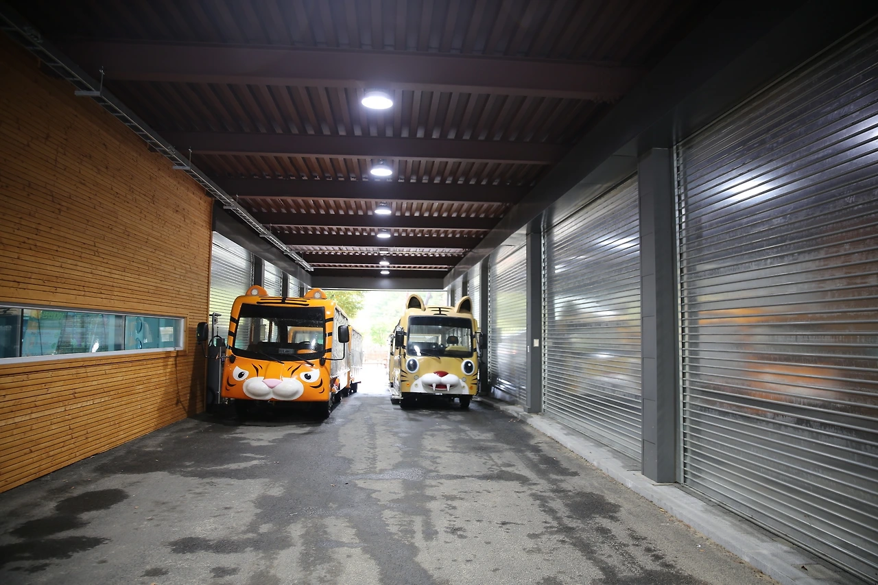 MG0A6160_новый размер.JPG