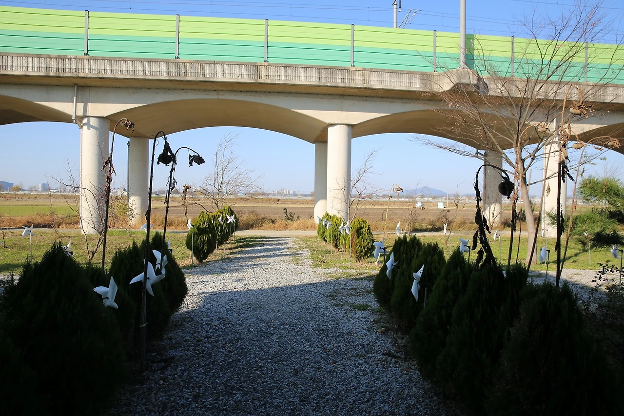 MG0A0625_новый размер.JPG